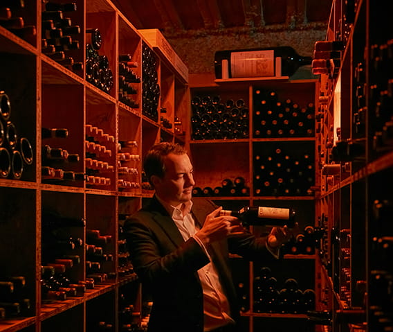 Red wine store cellar